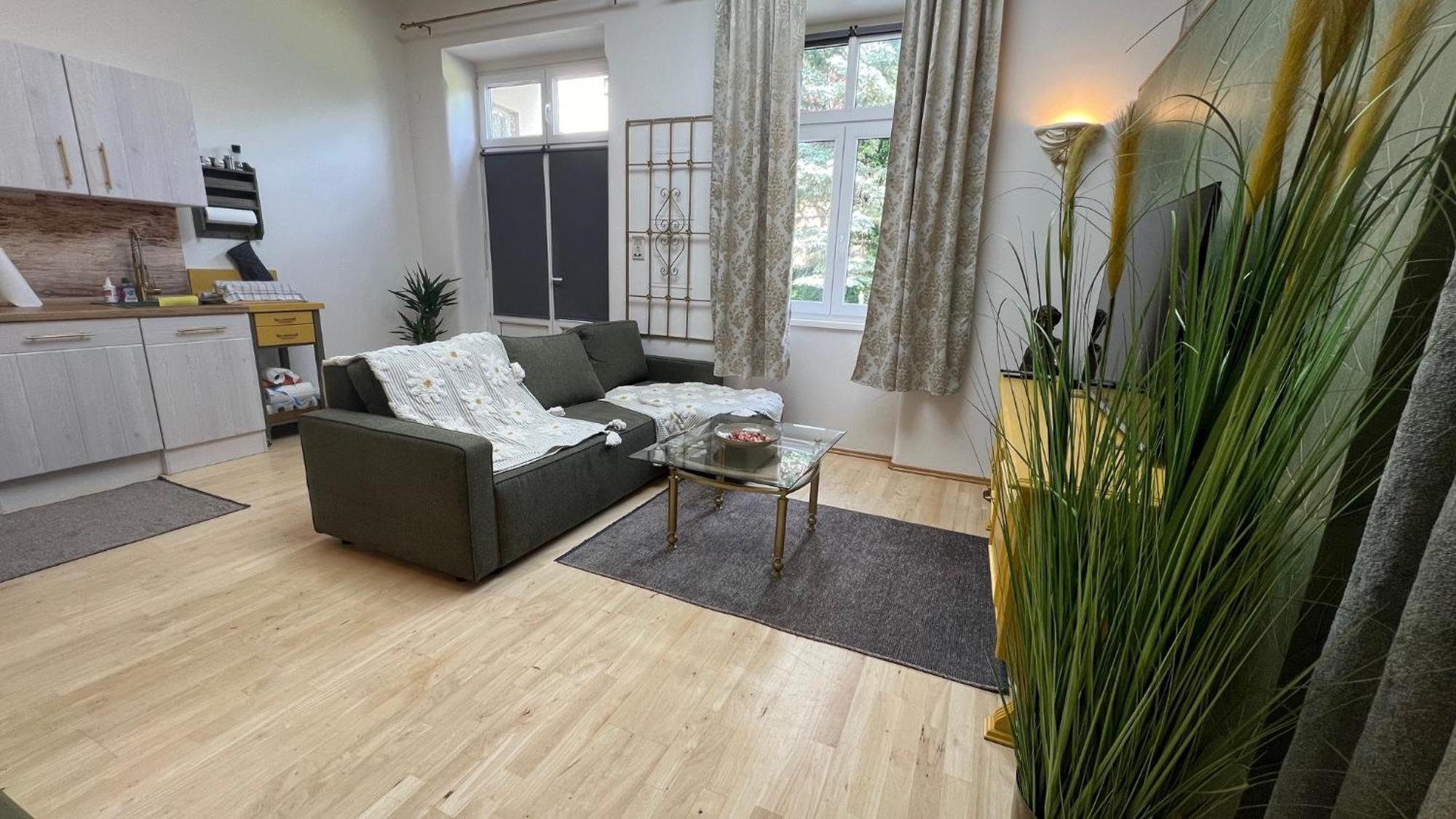 Appartment Rosengarten Baden Eksteriør billede